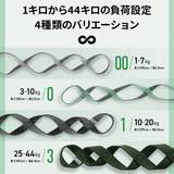 VRTXマルチバンド 00番